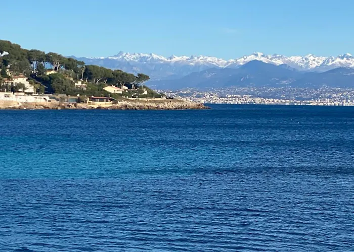 Le Palais Antibois Daire